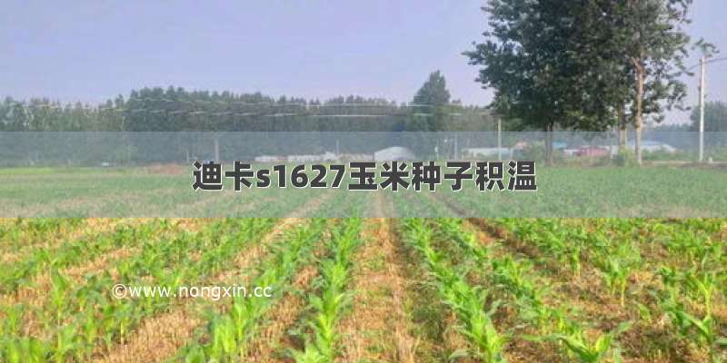 迪卡s1627玉米种子积温