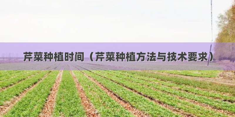 芹菜种植时间（芹菜种植方法与技术要求）