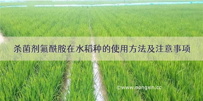 杀菌剂氟酰胺在水稻种的使用方法及注意事项