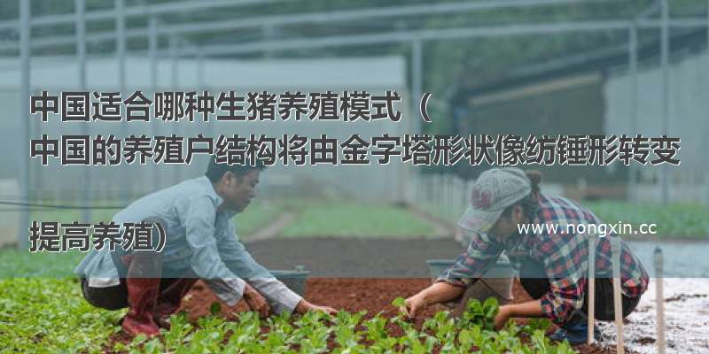 中国适合哪种生猪养殖模式（
中国的养殖户结构将由金字塔形状像纺锤形转变

提高养殖）
