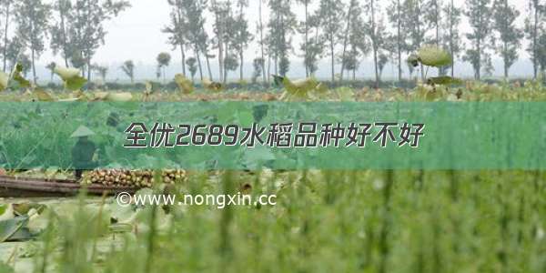全优2689水稻品种好不好