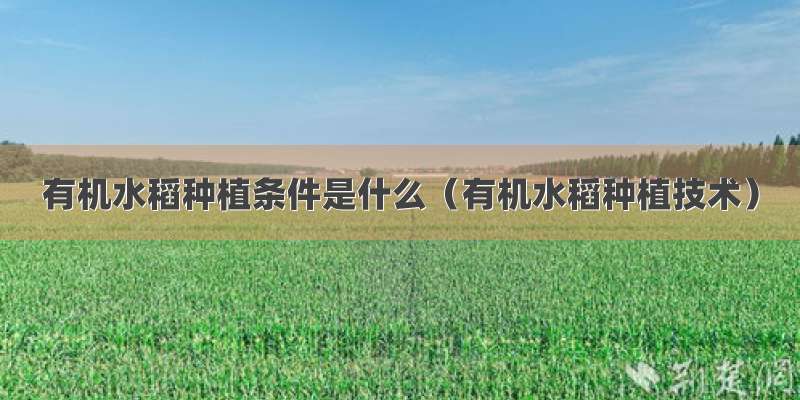 有机水稻种植条件是什么（有机水稻种植技术）