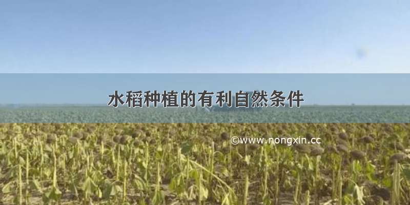 水稻种植的有利自然条件