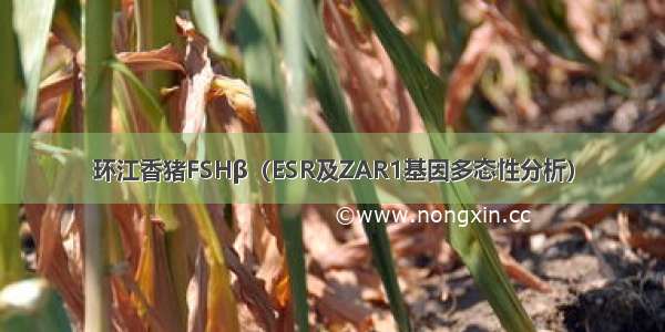 环江香猪FSHβ（ESR及ZAR1基因多态性分析）