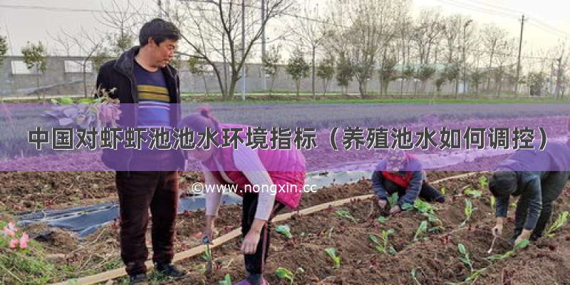 中国对虾虾池池水环境指标（养殖池水如何调控）