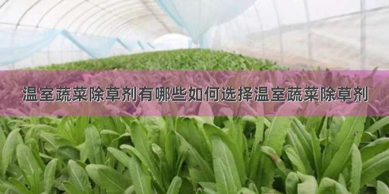 温室蔬菜除草剂有哪些如何选择温室蔬菜除草剂