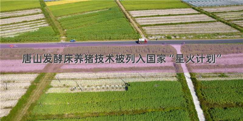 唐山发酵床养猪技术被列入国家“星火计划”