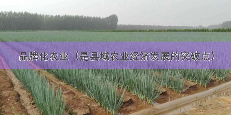 品牌化农业（是县域农业经济发展的突破点）