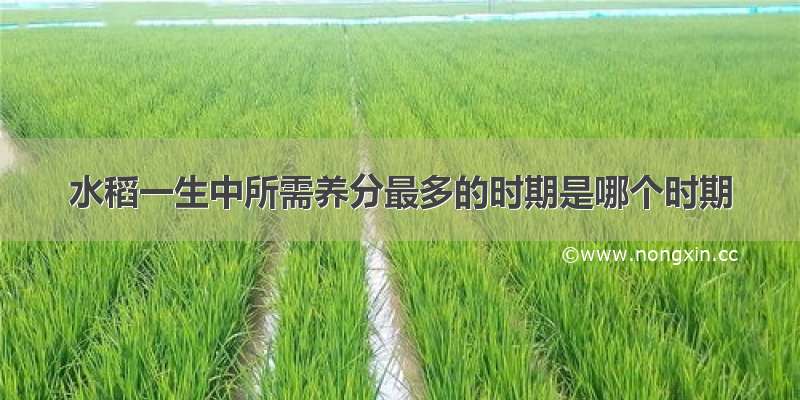水稻一生中所需养分最多的时期是哪个时期