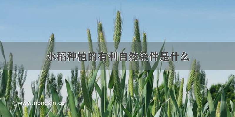 水稻种植的有利自然条件是什么