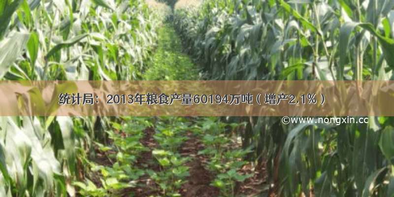 统计局：2013年粮食产量60194万吨（增产2.1%）
