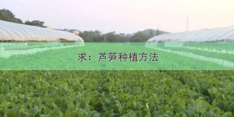 求：芦笋种植方法