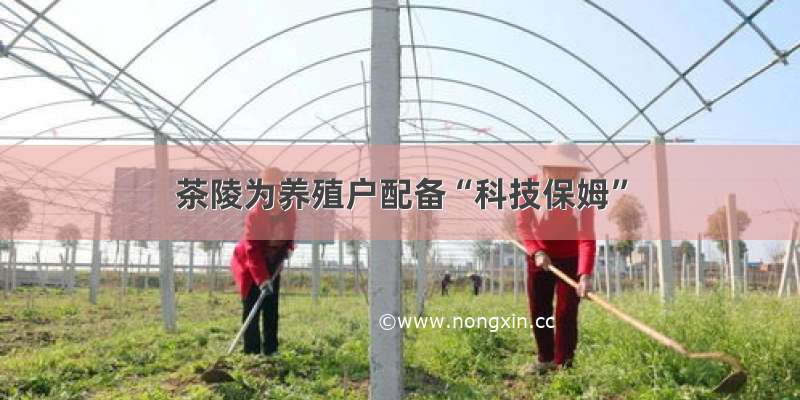 茶陵为养殖户配备“科技保姆”