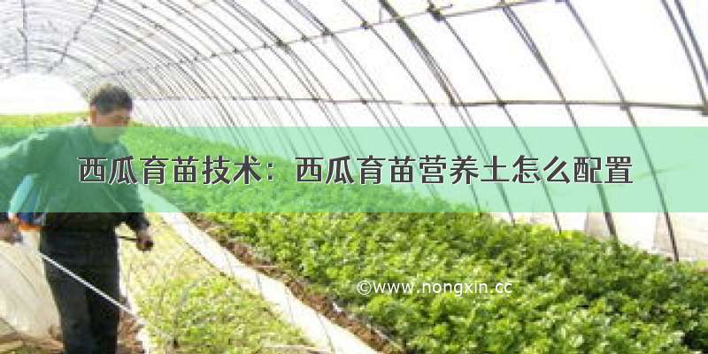 西瓜育苗技术：西瓜育苗营养土怎么配置