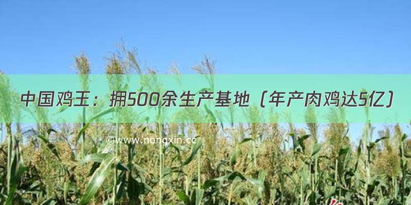 中国鸡王：拥500余生产基地（年产肉鸡达5亿）