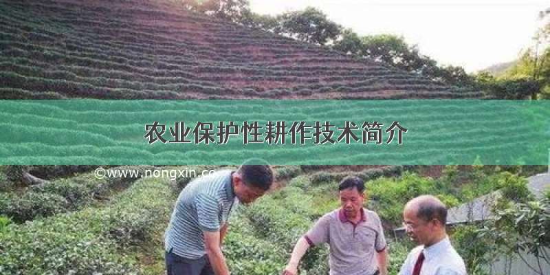 农业保护性耕作技术简介