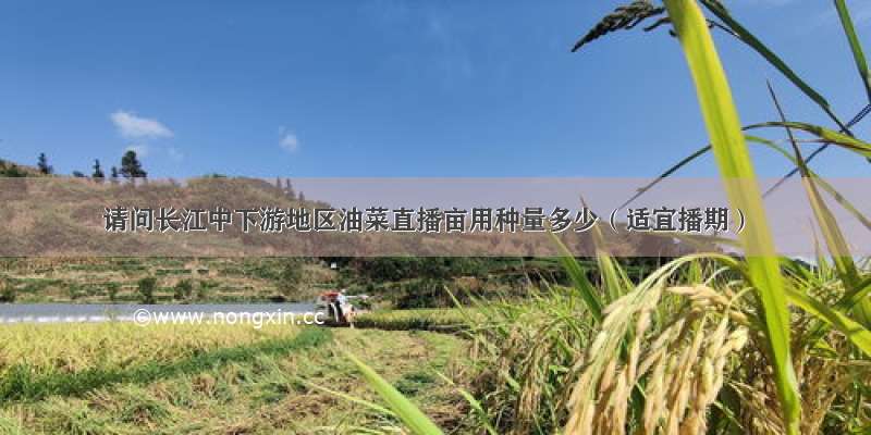 请问长江中下游地区油菜直播亩用种量多少（适宜播期）