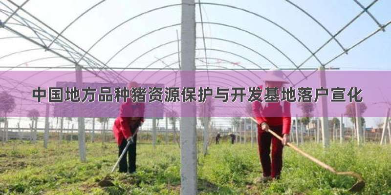 中国地方品种猪资源保护与开发基地落户宣化