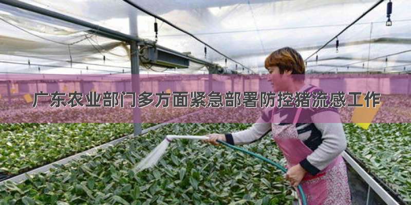 广东农业部门多方面紧急部署防控猪流感工作