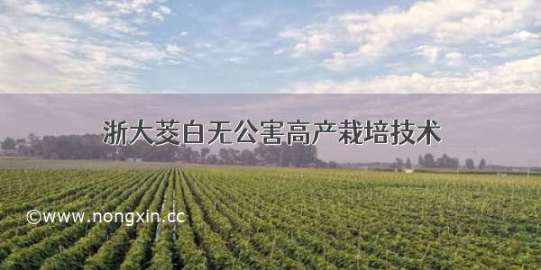 浙大茭白无公害高产栽培技术