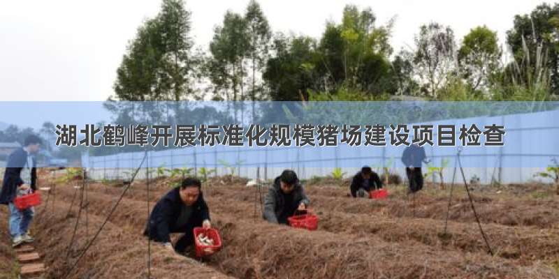 湖北鹤峰开展标准化规模猪场建设项目检查