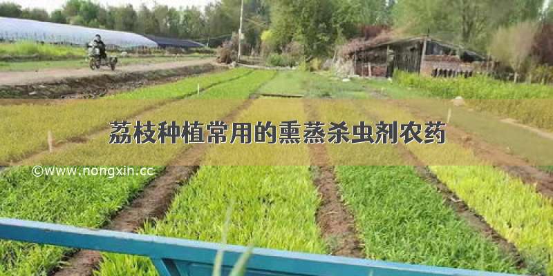 荔枝种植常用的熏蒸杀虫剂农药