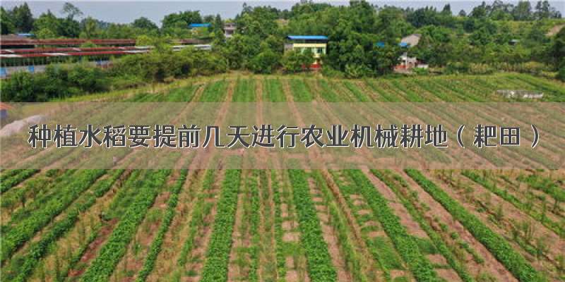 种植水稻要提前几天进行农业机械耕地（耙田）