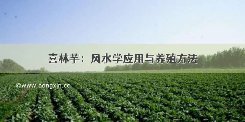 喜林芋：风水学应用与养殖方法
