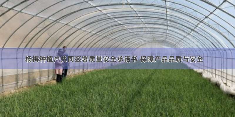 杨梅种植户共同签署质量安全承诺书 保障产品品质与安全