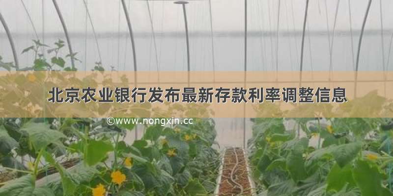 北京农业银行发布最新存款利率调整信息
