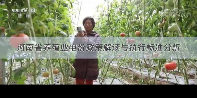 河南省养殖业电价政策解读与执行标准分析