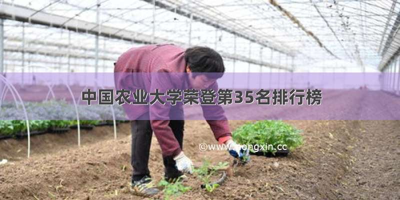 中国农业大学荣登第35名排行榜