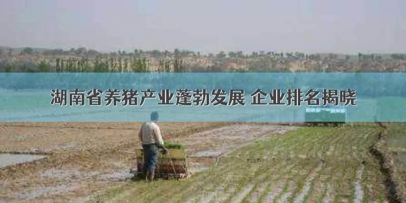 湖南省养猪产业蓬勃发展 企业排名揭晓