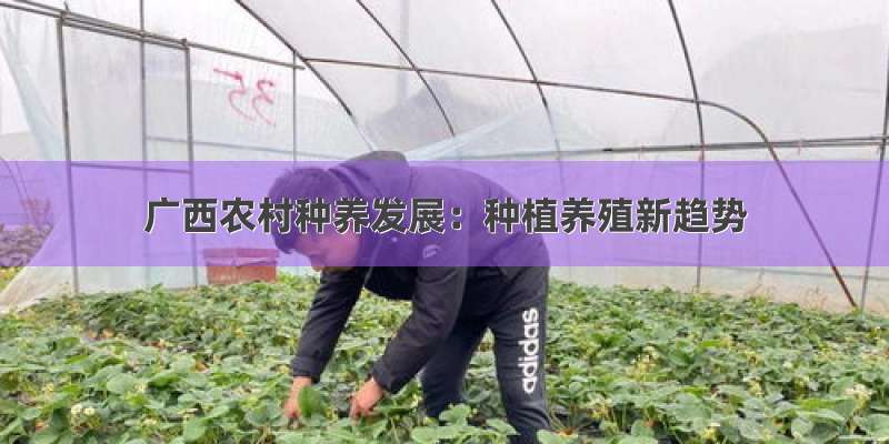 广西农村种养发展：种植养殖新趋势