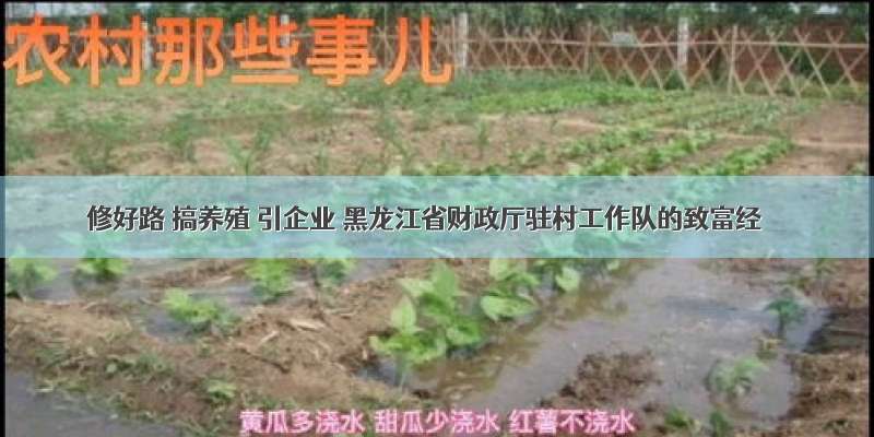 修好路 搞养殖 引企业 黑龙江省财政厅驻村工作队的致富经
