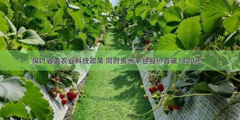 探讨省委农业科技政策 同时贵州茅台股价首破1800元