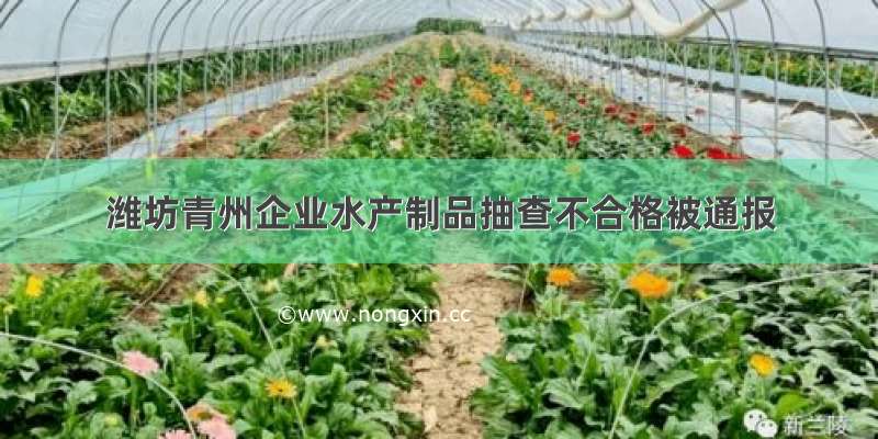 潍坊青州企业水产制品抽查不合格被通报