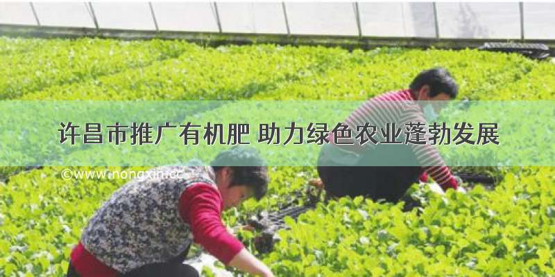 许昌市推广有机肥 助力绿色农业蓬勃发展
