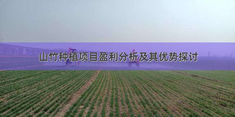山竹种植项目盈利分析及其优势探讨