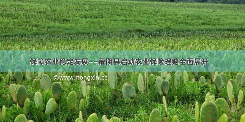 保障农业稳定发展——蒙阴县启动农业保险理赔全面展开