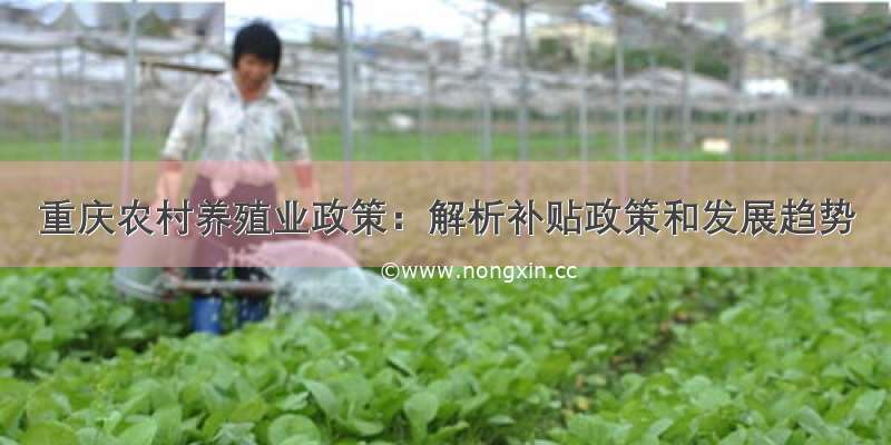 重庆农村养殖业政策：解析补贴政策和发展趋势