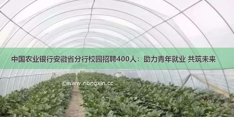 中国农业银行安徽省分行校园招聘400人：助力青年就业 共筑未来