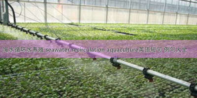 海水循环水养殖 seawater recirculation aquaculture英语短句 例句大全
