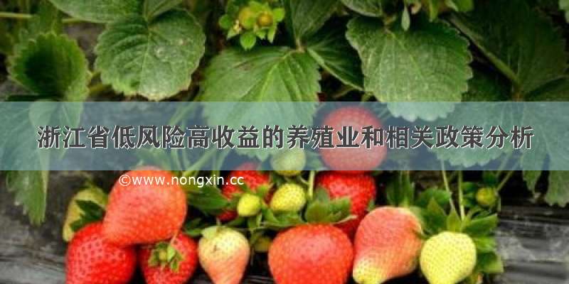 浙江省低风险高收益的养殖业和相关政策分析