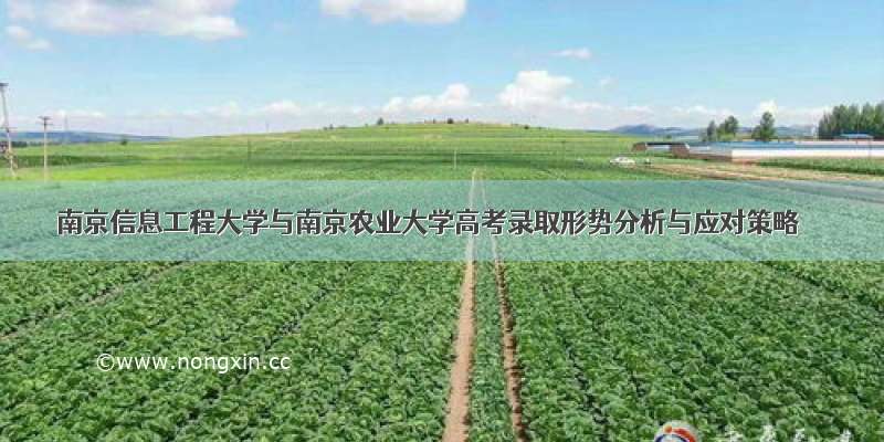 南京信息工程大学与南京农业大学高考录取形势分析与应对策略