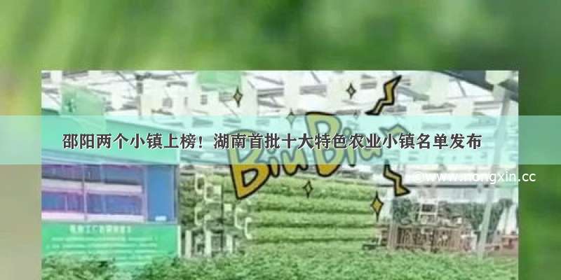 邵阳两个小镇上榜！湖南首批十大特色农业小镇名单发布