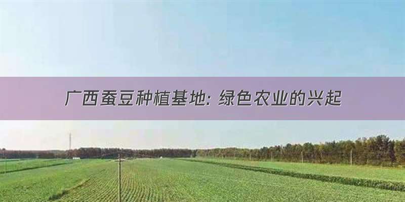 广西蚕豆种植基地: 绿色农业的兴起