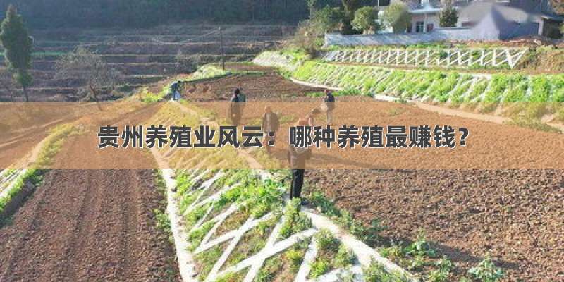 贵州养殖业风云：哪种养殖最赚钱？