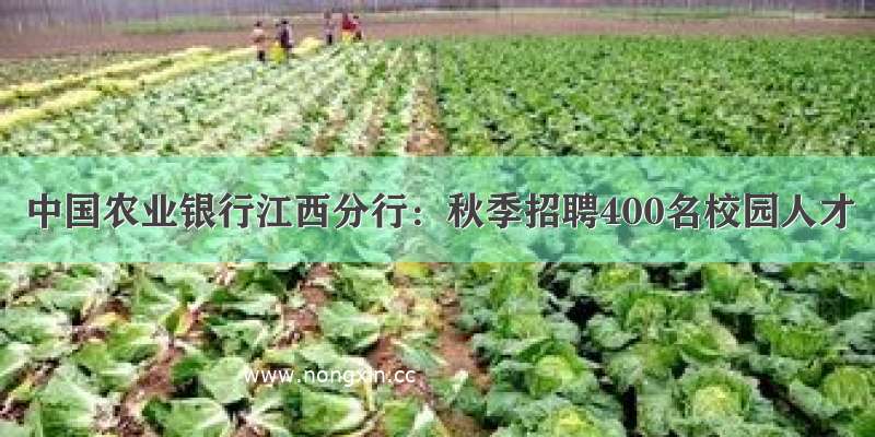 中国农业银行江西分行：秋季招聘400名校园人才