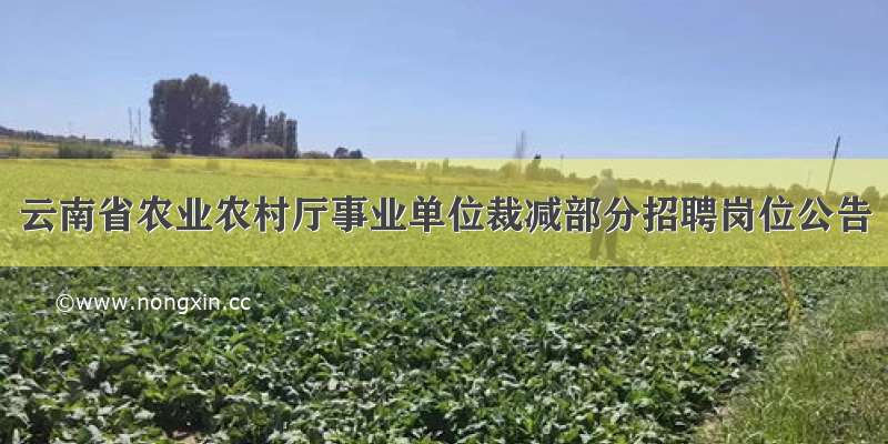 云南省农业农村厅事业单位裁减部分招聘岗位公告